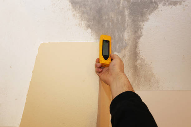 Best Commercial Mold Inspection  in Risg Sun, IN